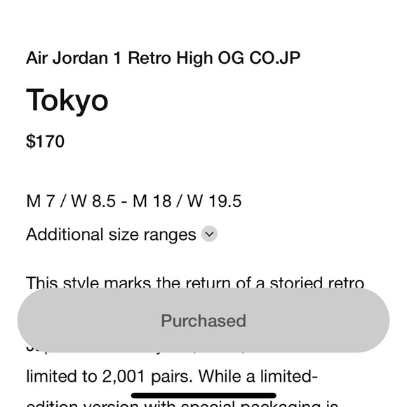 Nike Air Jordan 1 Retro High Tokyo - Picture 11 of 11